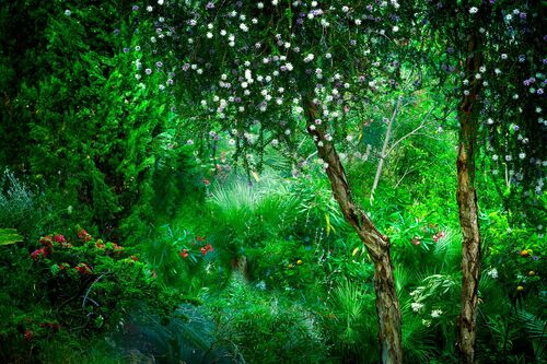 Le Jardin Eden 2 Le Jardin Eden 2