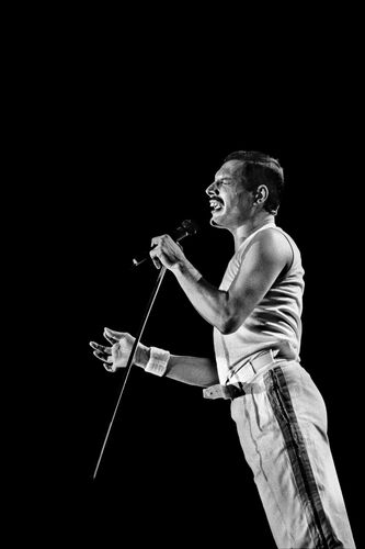 Freddie Mercury Freddie Mercury