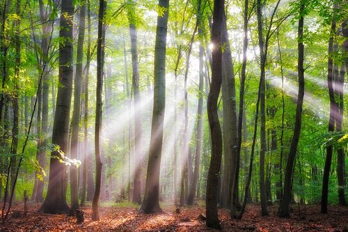 WHEN THE SUN SHINES ON YOUR WAY WHEN THE SUN SHINES ON YOUR WAY