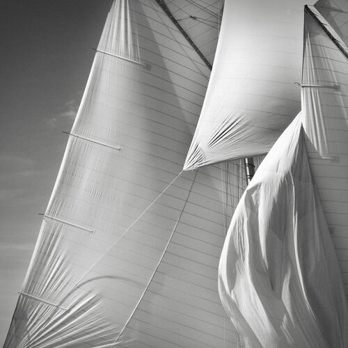 Sails of the Mariette study 5 Sails of the Mariette study 5