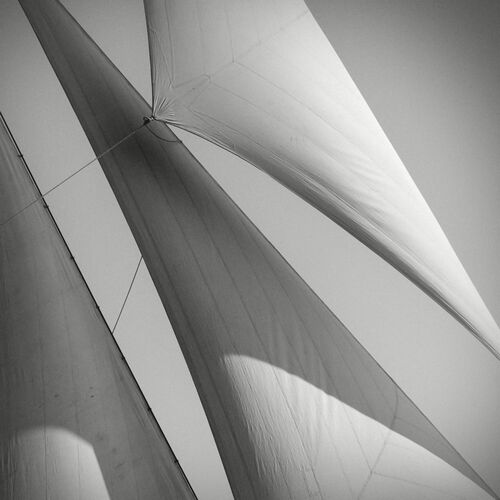 Toutes voiles dehors Toutes voiles dehors