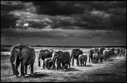Crossing the Plain I Crossing the Plain I