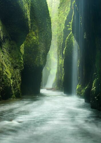 Rainforest Canyon Oneonta Gorge Oregon Rainforest Canyon Oneonta Gorge Oregon