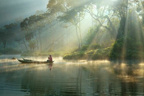 LIGHT AND MIST LIGHT AND MIST